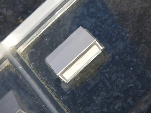 ◆アクリル水槽+専用架台セット◆1200×500×h550/厚さ10mm/オーダーメイド?