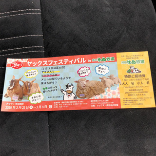 成田ゆめ牧場　無料招待券