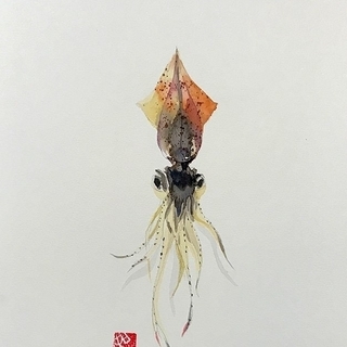 3月15日（日）「ホタルイカ」を描く水彩画ワークショップの画像