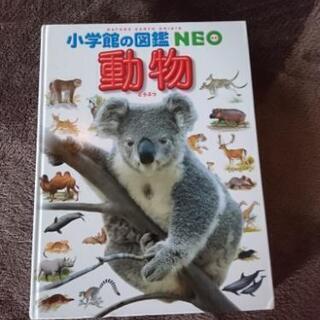 動物図鑑