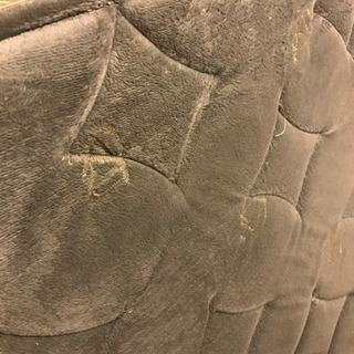 シングルベットとマット　ニトリの画像