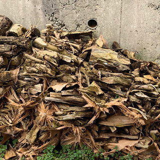 キャンプなどに薪はいかがですか？の画像