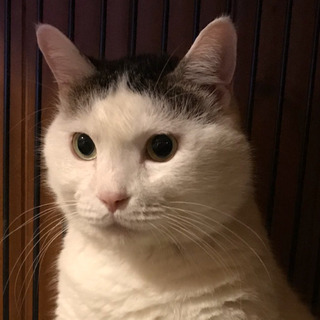 お探しではありませんか？