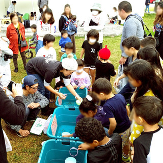 【入場無料★第２０回 出張!! 青空めだか＆ベタ市】 - 名護市