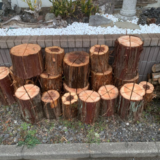 スウェーデントーチ風の画像