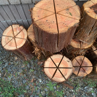 スウェーデントーチ風の画像