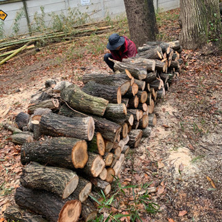 薪材などに　コナラ　クヌギ　杉の画像