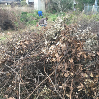 来シーズン用の焚き木としてご利用ください！の画像