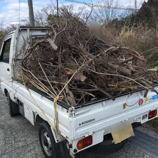 来シーズン用の焚き木としてご利用ください！の画像