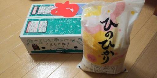 米　熊本県産　ひのひかり　5kg × 2 　令和元年産