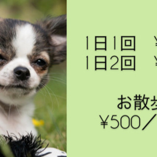 初回10%OFF✨ペットシッター・お散歩代行・その他ケアなど