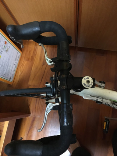 自転車　　ルイガノ