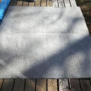日立電子コントロールカーペット 2畳用 