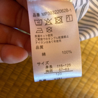 シャツの画像
