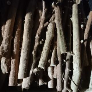薪 (庭木の切り枝・廃材) 