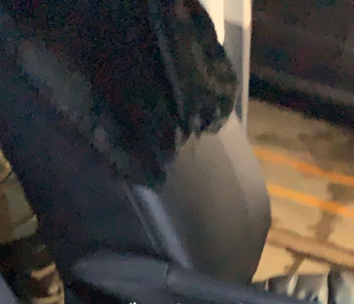 クラッツィオJr.レザーシートカバーブラック