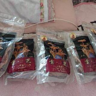 さるのこしかけ(霊芝)の画像