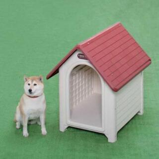 犬小屋　ペットハウス　1500円(*・ω・)