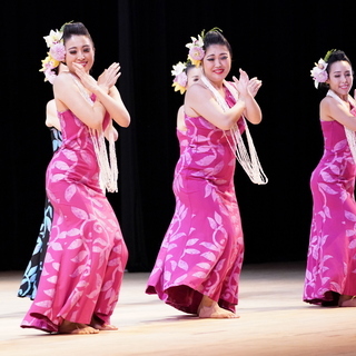 湘南・藤沢のフラダンス教室初心者クラス新規オープン