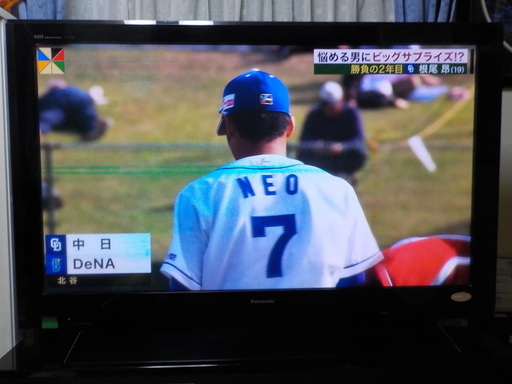 超大型65インチパナソニックビエラプラズマテレビ