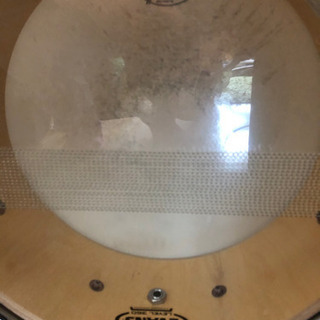 CANOPUS BIRCH br-1455の画像