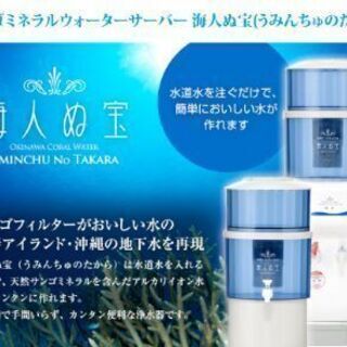 ミネラルたっぷりのサンゴウォーターを簡単に作れます