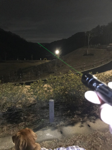 天体観測用　レーザーポインター