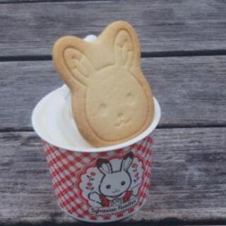 ✨稲敷市の元東中だった方✨   