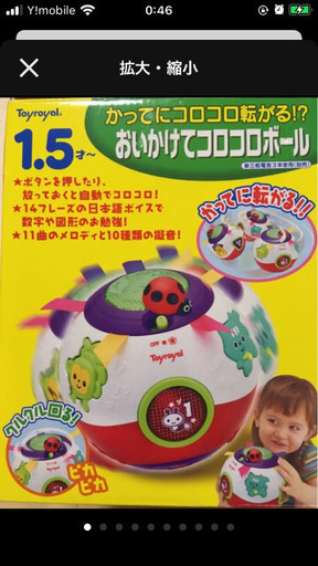 おいかけてコロコロボール【新品未使用、箱付き】／トイローヤル｜ローヤル