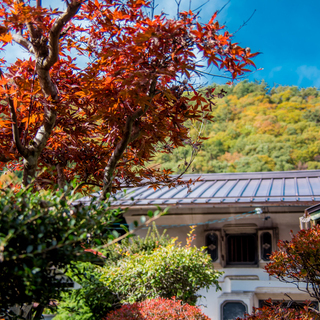 信州塩尻宿場町古旅館のシェアハウス【宿場noie坂勘】超ダイバーシティなリビングであなたらしい「暮らし」と「生業」を。二拠点居住可能！ - シェアハウス