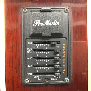 【目玉商品❗️】エレアコ PRO MARTIN EA500W VS の画像
