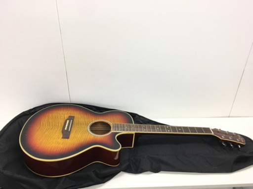 【目玉商品❗️】エレアコ PRO MARTIN EA500W VS 