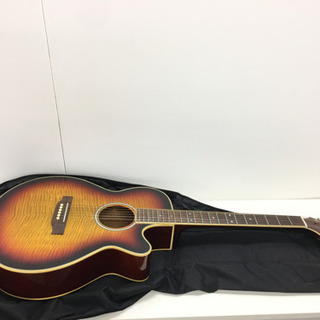 【目玉商品❗️】エレアコ PRO MARTIN EA500W VS の画像