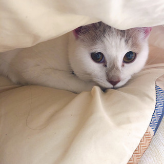 里親様決まりました☆