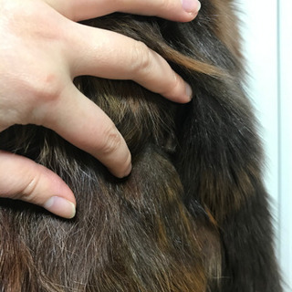 フォックスファージャケット　リメイク材としての画像