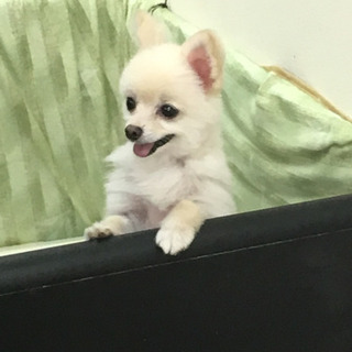 お困り事があったらまずは！