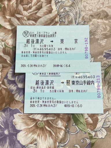 越後湯沢→東京　新幹線　3/1 自由席