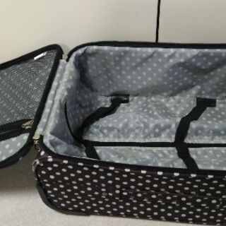 キャリーバッグの画像