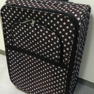 キャリーバッグの画像