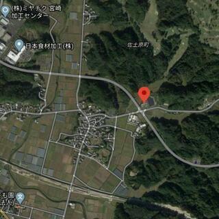 小型犬のお世話・犬舎清掃スタッフ募集　3/15更新