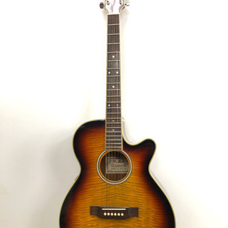 【目玉商品❗️】エレアコ PRO MARTIN EA500W VS 