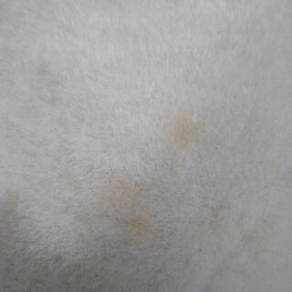 大きなキティちゃんの画像