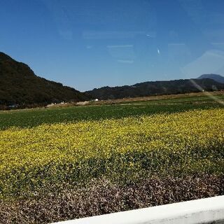 ママ友さん募集中です😉
