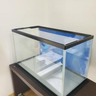 【水槽60cm】GEXマリーナ600&大磯砂(大量)