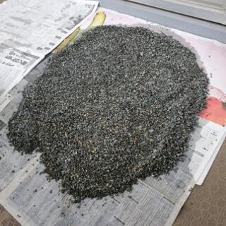 【水槽60cm】GEXマリーナ600&大磯砂(大量)の画像
