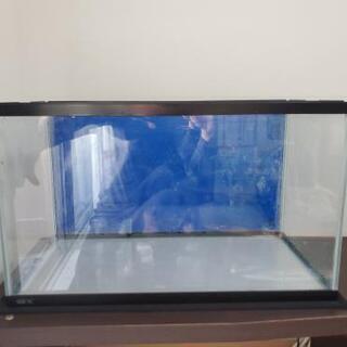 【水槽60cm】GEXマリーナ600&大磯砂(大量)の画像