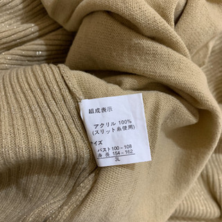 大きいサイズ　レディースの画像