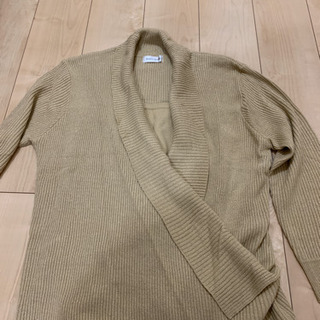 大きいサイズ　レディースの画像