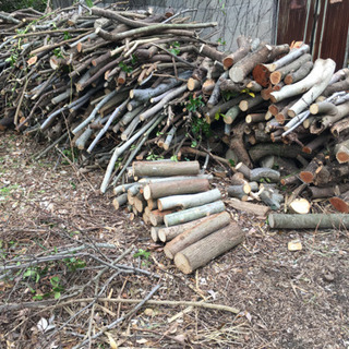 来シーズン用の焚き木としてご利用ください！の画像