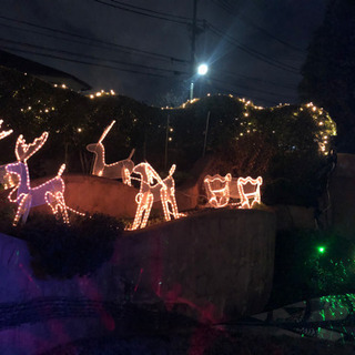 時期外れですが、、クリスマス、ハロウィンのイルミネーションの画像